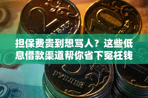 北京担保费贵到想骂人？这些低息借款渠道帮你省下冤枉钱