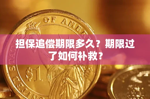 北京担保追偿期限多久？期限过了如何补救？