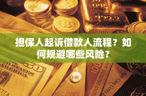 北京担保人起诉借款人流程？如何规避哪些风险？